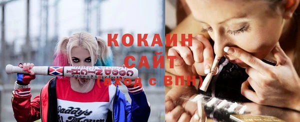 дживик Аркадак