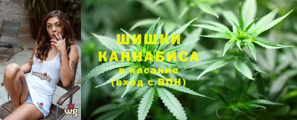 дживик Аркадак