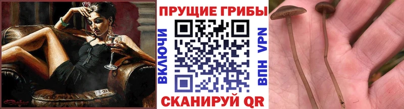 наркошоп  гидра ONION  Галлюциногенные грибы MAGIC MUSHROOMS  Минусинск 
